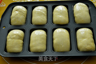 奶味肉松小餐包的做法步骤：10