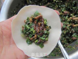 韭菜猪肉水饺的做法步骤：8