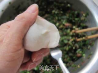 韭菜猪肉水饺的做法步骤：9