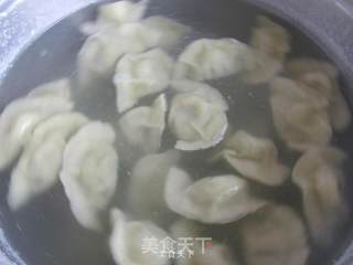 韭菜猪肉水饺的做法步骤：11