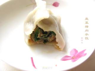 韭菜猪肉水饺的做法步骤：13
