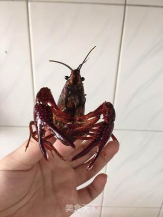十三香小龙虾的做法步骤：2