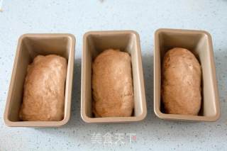 无油无蔗糖免揉的无花果核桃黑麦包的做法步骤：8