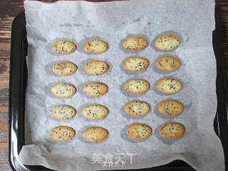 一片接一片，根本停不下来——黑芝麻蛋白薄脆饼干的做法步骤：10