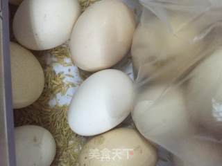 高山洋槐鸡蛋饼的做法步骤：5