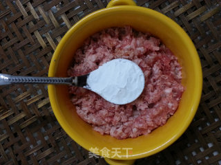 #高考倒计时营养早餐#考生超人气酥脆雪霜鸡脯肉丸子的做法步骤：5
