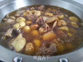 香油板栗鸡的做法步骤：7