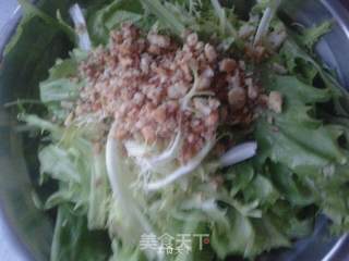 糖醋苦菊的做法步骤：6