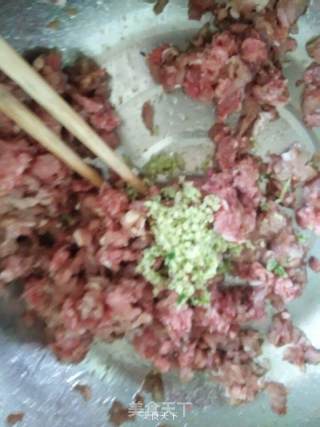 野味长寿菜~长寿菜韭菜牛猪肉两掺大肉饺儿的做法步骤：3