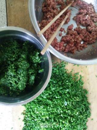 野味长寿菜~长寿菜韭菜牛猪肉两掺大肉饺儿的做法步骤：4