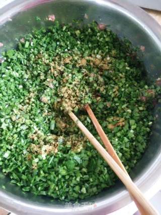野味长寿菜~长寿菜韭菜牛猪肉两掺大肉饺儿的做法步骤：5