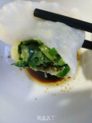 野味长寿菜~长寿菜韭菜牛猪肉两掺大肉饺儿的做法步骤：10