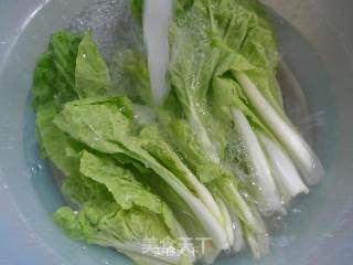蒜香五号菜的做法步骤：2