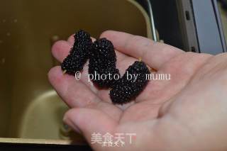 用面包机制作桑葚果酱的做法步骤：2