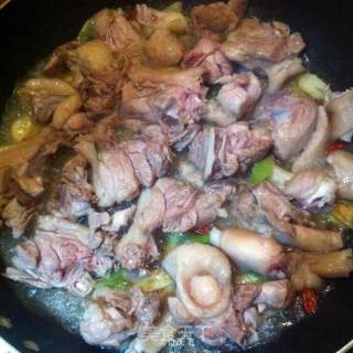 红烧鸭肉的做法步骤：4