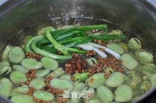 茴香蚕豆的做法步骤：6
