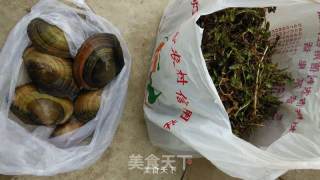 韭菜炒河蚌的做法步骤：1