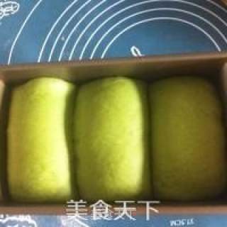抹茶红豆吐司的做法步骤：11