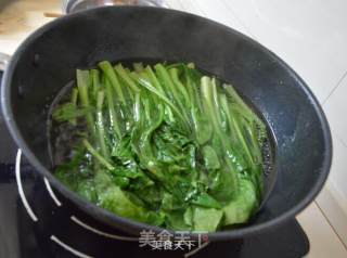 白灼广东菜心的做法步骤：5