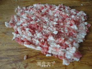 茴香馅猪肉饺子的做法步骤：5