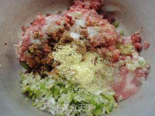 茴香馅猪肉饺子的做法步骤：7