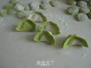 茴香馅猪肉饺子的做法步骤：13