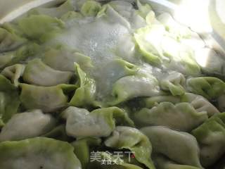 茴香馅猪肉饺子的做法步骤：15