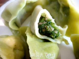 茴香馅猪肉饺子的做法步骤：17