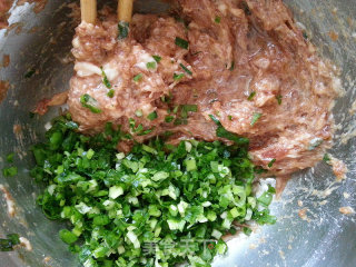 黄须菜肉馅饺子的做法步骤：9