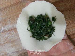 黄须菜肉馅饺子的做法步骤：29