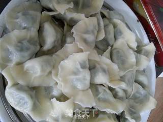 黄须菜肉馅饺子的做法步骤：37