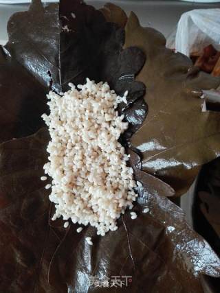 菠萝叶粽子的做法步骤：7