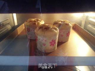 葡萄干马芬纸杯蛋糕的做法步骤：8