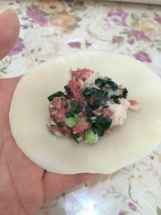 鲜肉韭菜饺子的做法步骤：4