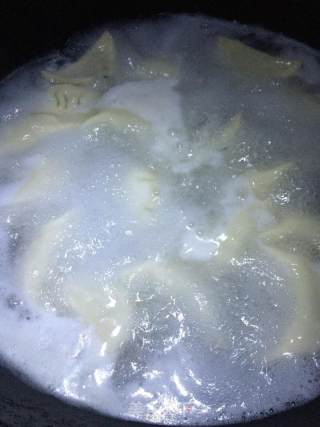 鲜肉韭菜饺子的做法步骤：7