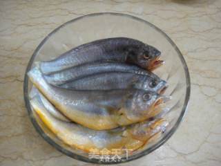 干煎小黄鱼的做法步骤：1