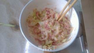 鸡汁菜包子的做法步骤：8