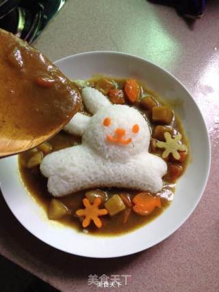 海豚咖喱土豆鸡饭（懒人版）的做法步骤：7
