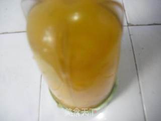 芒果奶昔的做法步骤：4