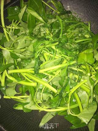 蒜蓉空心菜的做法步骤：4
