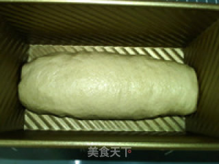 低脂全麦面包的做法步骤：12