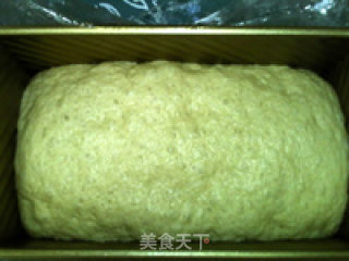 低脂全麦面包的做法步骤：13