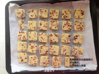 蔓越莓饼干的做法步骤：9