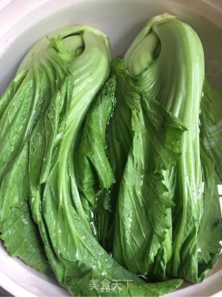 水碌菜炒五花肉的做法步骤：1