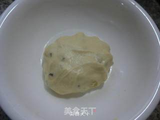 葡萄干玉米面糯米饼的做法步骤：5