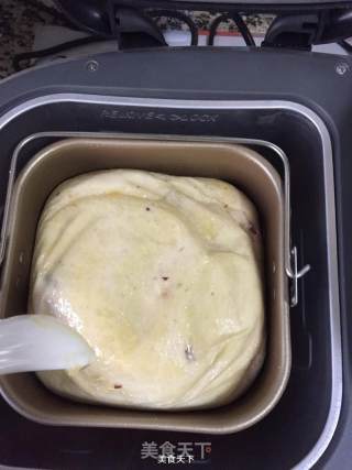 葡萄干蜜豆面包的做法步骤：10
