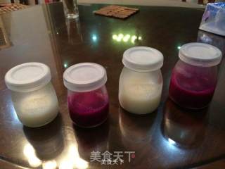 火龙果椰汁布丁的做法步骤：8
