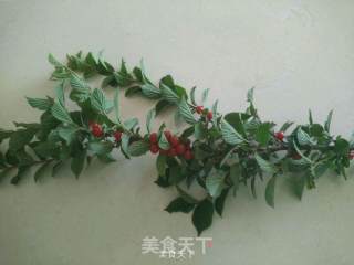 小樱桃罐头的做法步骤：1