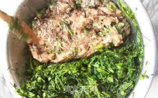 茴香饺子的做法步骤：7