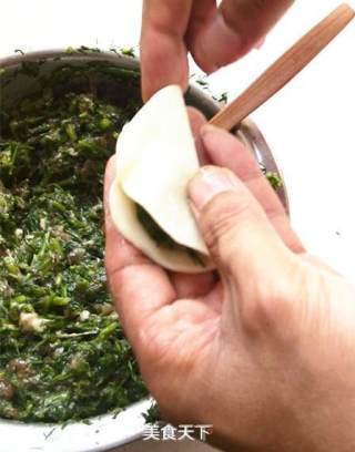 茴香饺子的做法步骤：9